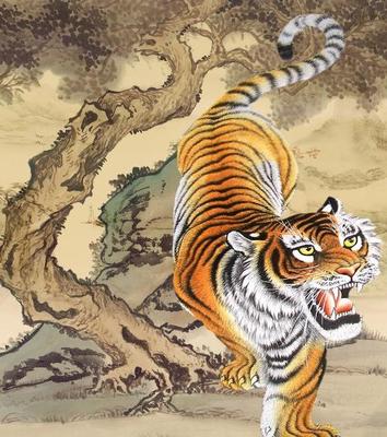 属虎今年犯太岁