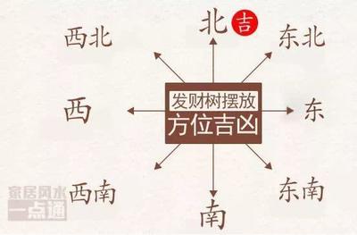 进字五行属什么