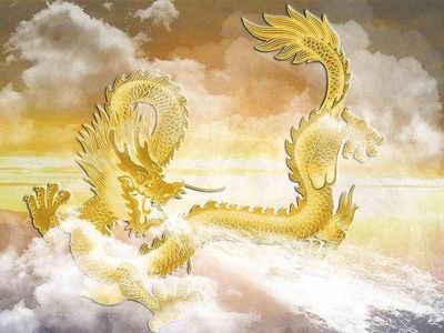 属龙人今年运程