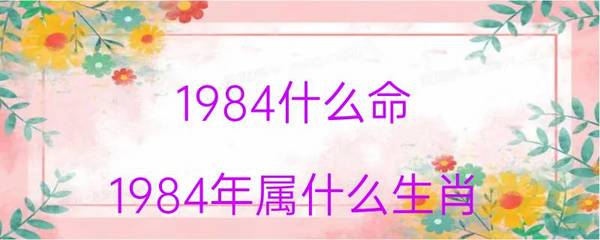 84年鼠什么命