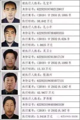 被执行失信人