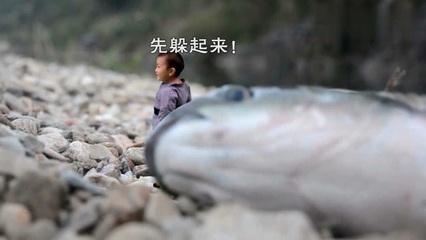 做梦梦到抓了一条大鱼