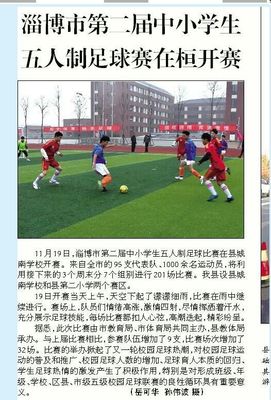 投影仪伟德客户端手机版下载效果