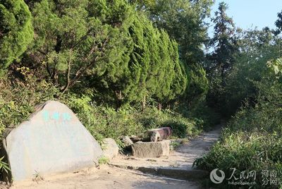 许世友八字