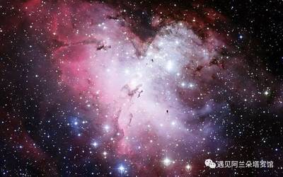 11月27日是什么星座