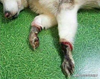 脚板烂了是怎么回事