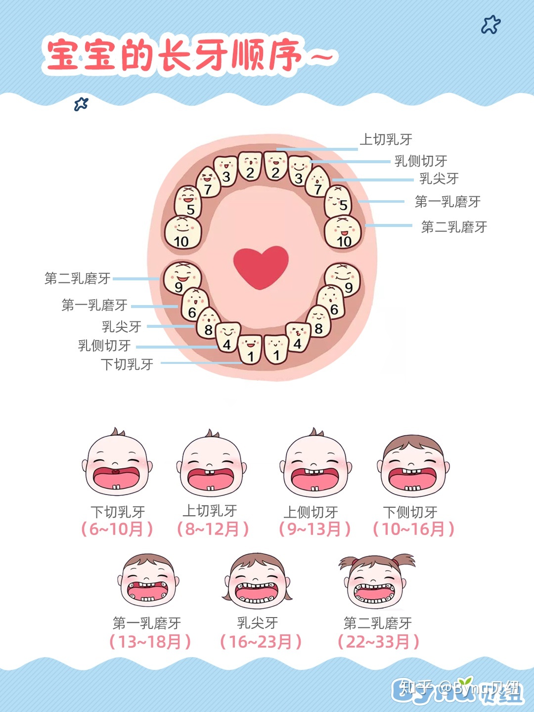 宝宝牙齿图片