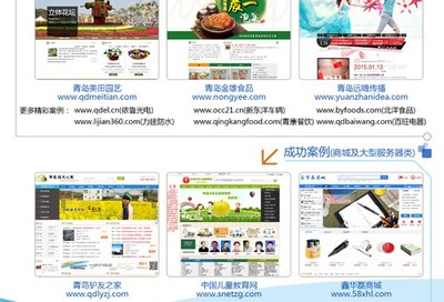 【莱西网站建设