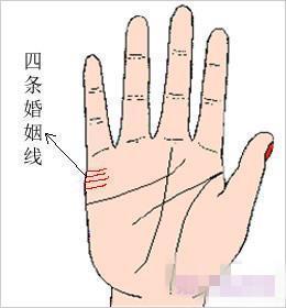 婚姻线4条