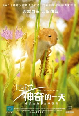 K8真人网娱乐
