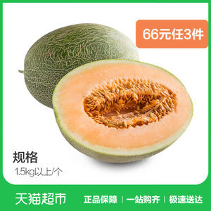 网纹瓜孕妇能吃吗
