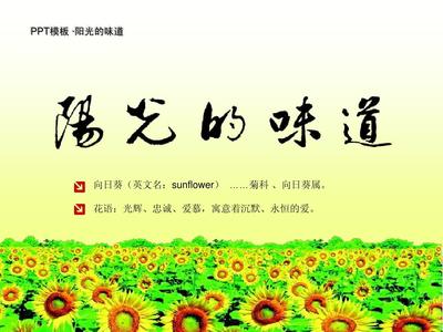 和阳光有关的英文名