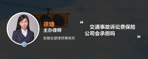 交通事故诉讼费由谁承担