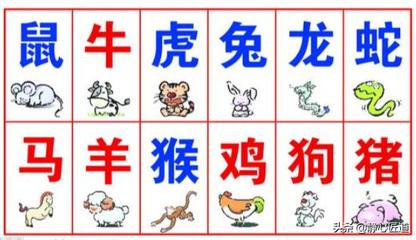 计什么生肖