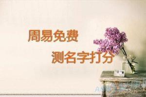起名测字打分测试