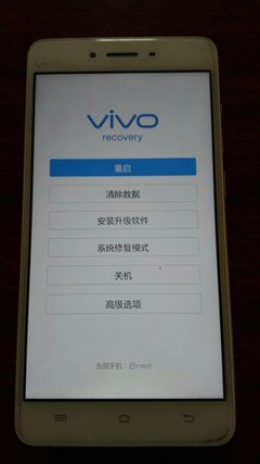 vivo手机是什么系统版本