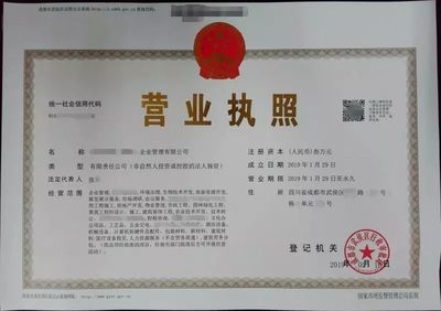 电子版营业执照