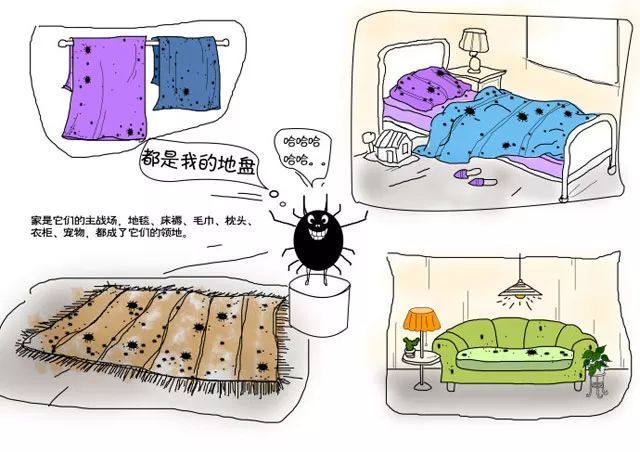 房间螨虫怎么去除