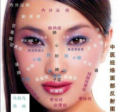 痘痘反射区