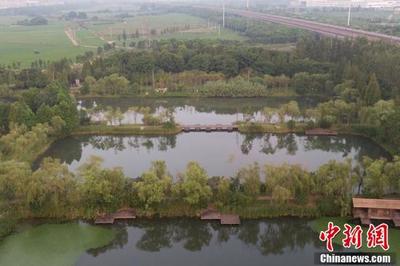 花桥湿地公园