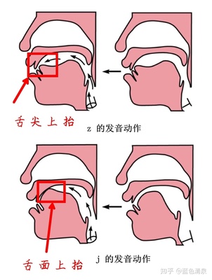 绸褂怎么读