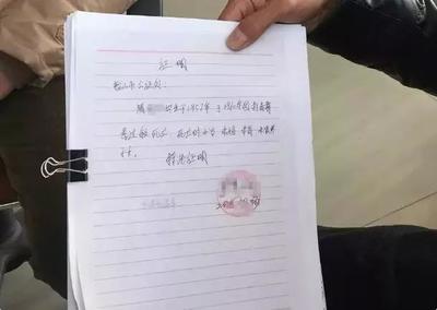 未婚未育证明范本