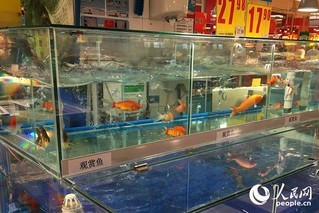 不銹鋼魚缸架子變形了怎么辦（不銹鋼魚缸架子變形了怎么辦呢）