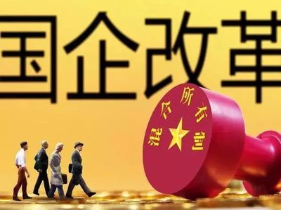 国有企业的股东