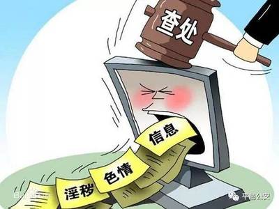 非法传播信息罪