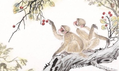 68年属什么生肖多少岁