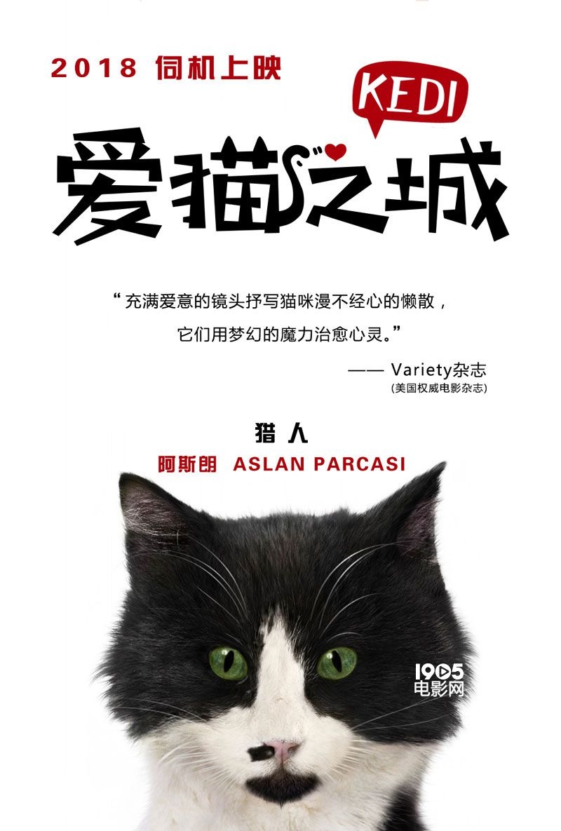 海盗女王完整版