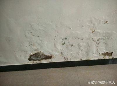 墙面泛碱的原因