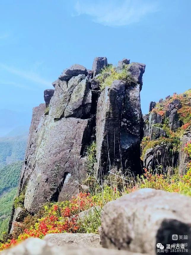 苍南有什么山