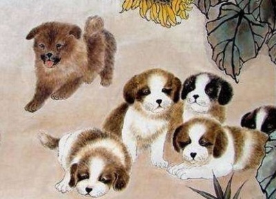 生肖狗的幸运色