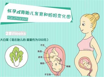 七个月早产