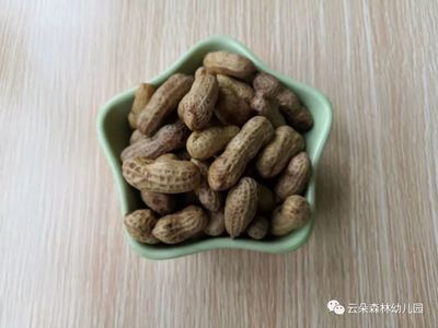 家里的花生虫子怎么办