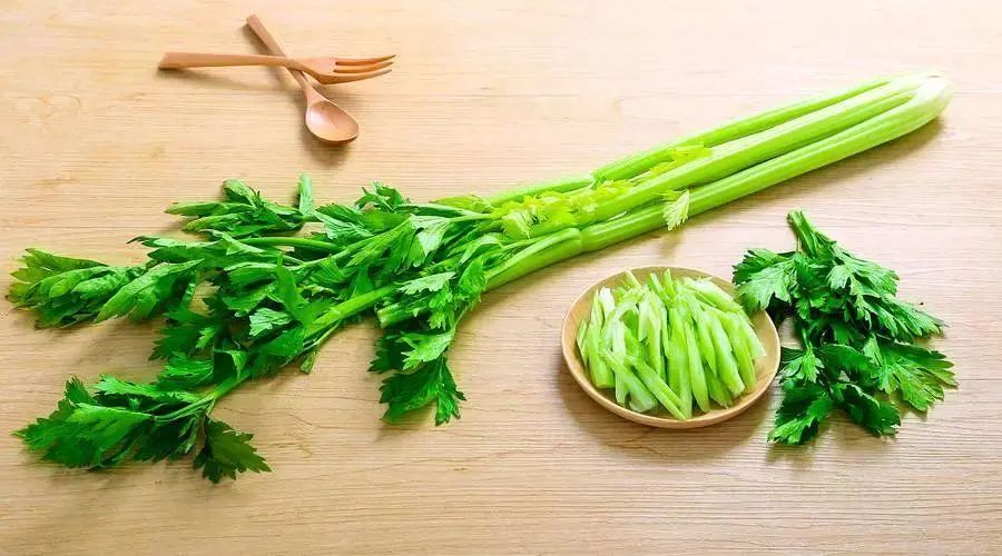 经常吃芹菜可以减肥吗