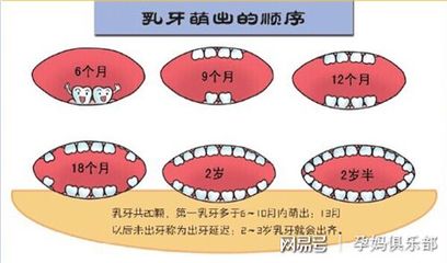 两岁宝宝多少颗牙齿