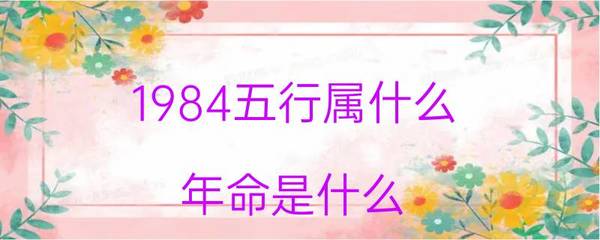 84年鼠什么命
