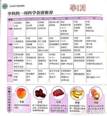 宝宝15个月的营养食谱