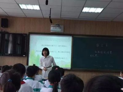 小学教师公开课怎么写