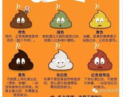 大便恶臭是怎么回事