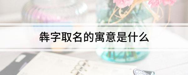 博字取名的寓意