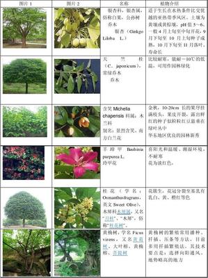 园林名字大全