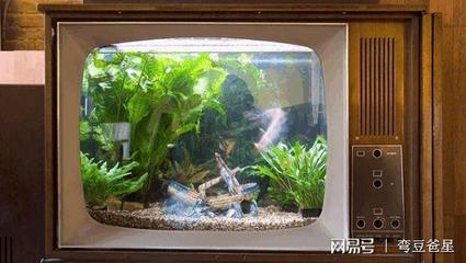 家里鱼缸厨房