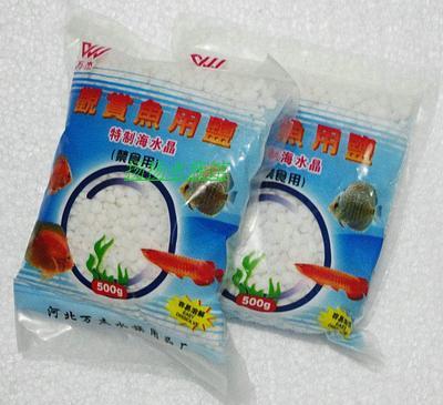 金龍魚混養(yǎng)打架怎么辦視頻教程：金龍魚混養(yǎng)打架怎么辦視頻教程