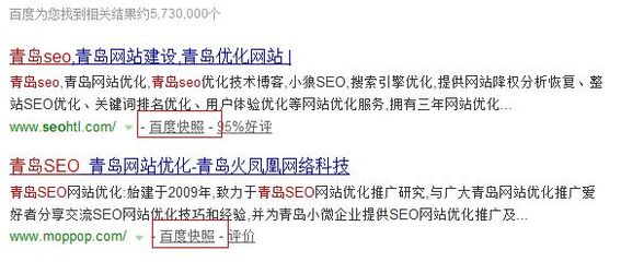山东SEO,青岛SEO,青岛网站优化,青岛网站建设,青岛网站推广,企业成败案例分析 - 网站优化技术