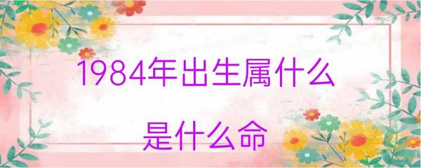 84年鼠什么命