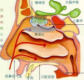 副鼻窦炎怎么治疗