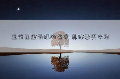 斐五行属什么